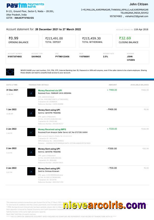 India Paytm Payments bank statement Word and PDF, 2 pages